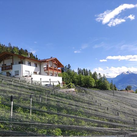 Апартаменты Pruensterhof Скена Экстерьер фото