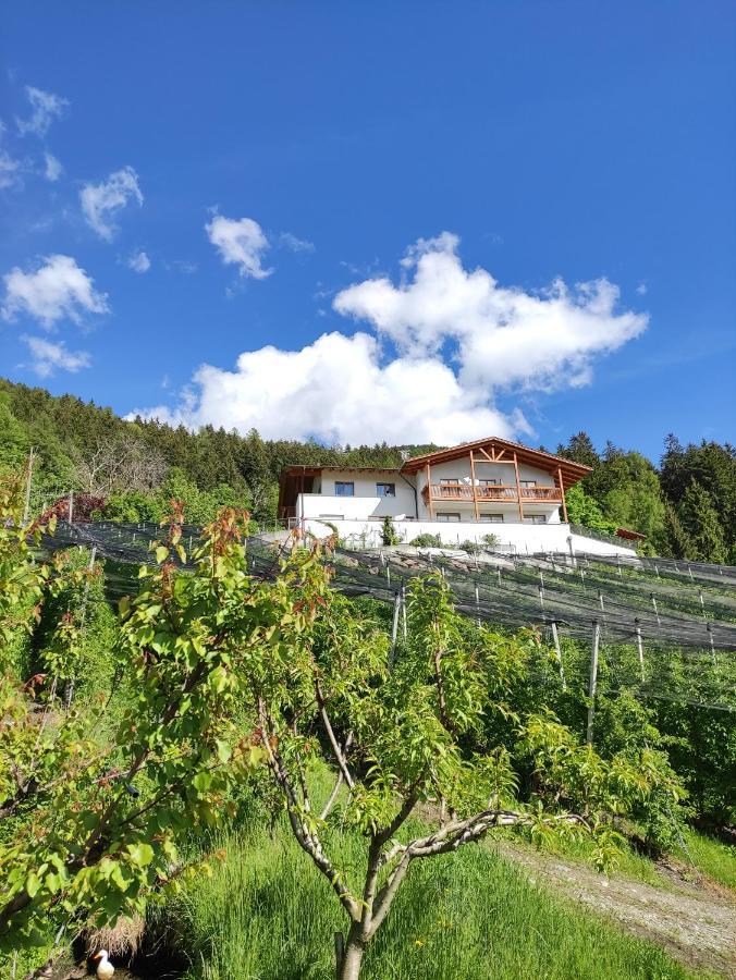 Апартаменты Pruensterhof Скена Экстерьер фото