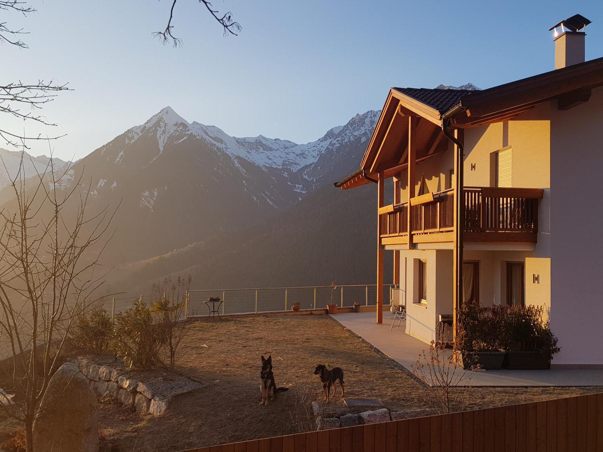 Апартаменты Pruensterhof Скена Экстерьер фото