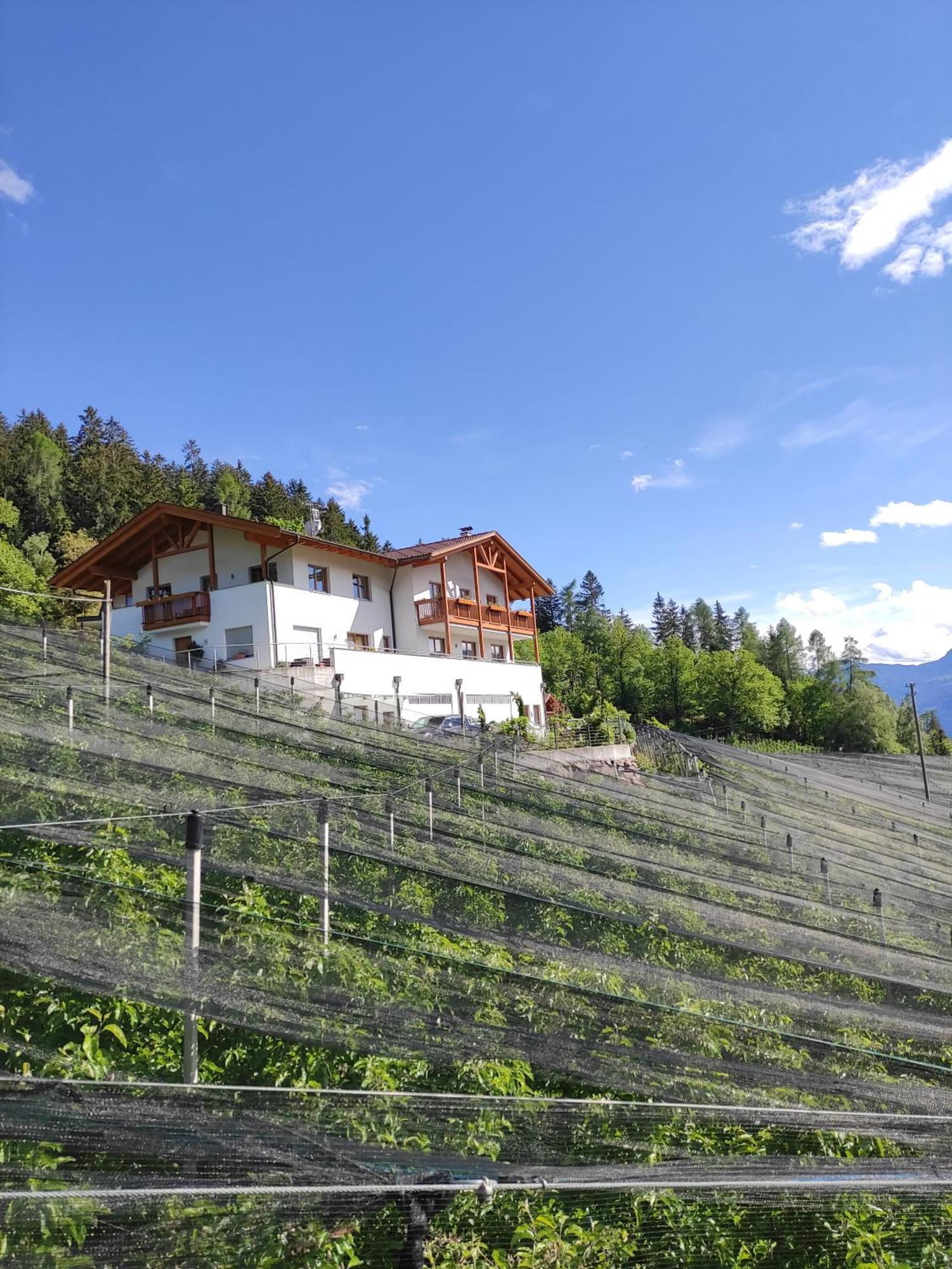 Апартаменты Pruensterhof Скена Экстерьер фото