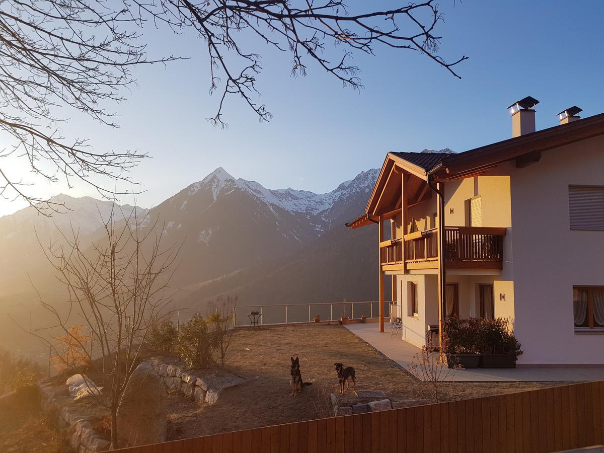 Апартаменты Pruensterhof Скена Экстерьер фото